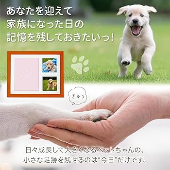 Amazon.co.jp: THEN メモリアル肉球フォトフレーム 犬 猫 お誕生日やお